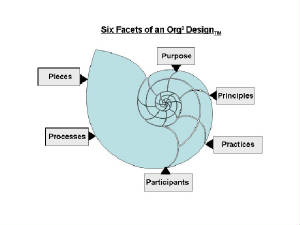 Org2Design6facets.jpg